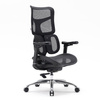 Fotel ergonomiczny ANGEL biurowy obrotowy Astro