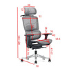 Fotel ergonomiczny ANGEL biurowy obrotowy Otus