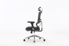 Fotel ergonomiczny ANGEL biurowy obrotowy Dakota 2.0