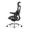 Fotel ergonomiczny ANGEL biurowy obrotowy Astro